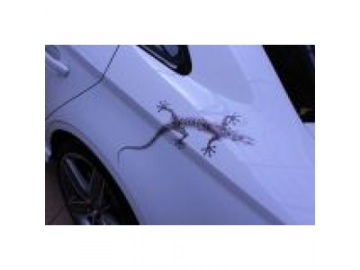 Наклейка робот-геккон Audi quattro, 30x40 cm., артикул 4M0064317A от VAG Наклейка робот-геккон Audi quattro, 30x40 cm., артикул 4M0064317A